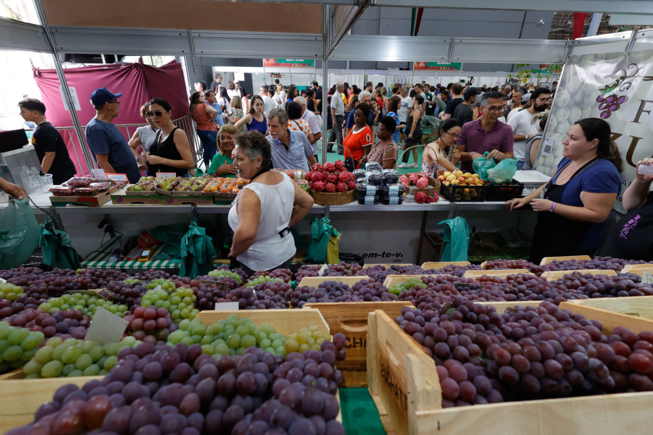 DESCRIÇÃO DA IMAGEM
Local com venda de uvas e público ao fundo 