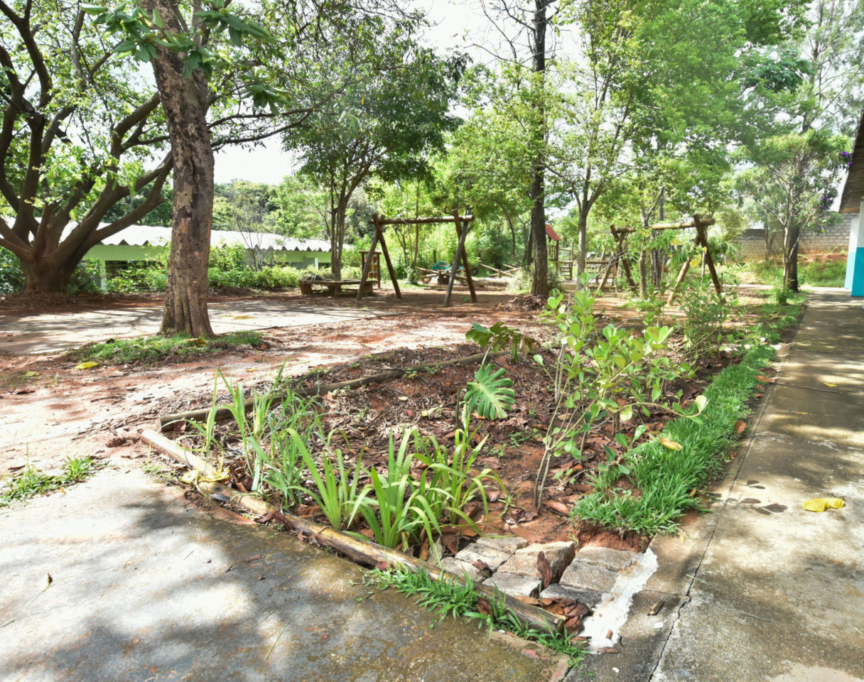 Jardim de Chuva na Emeb Ivo de Bona. Ao redor há um parque e árvores